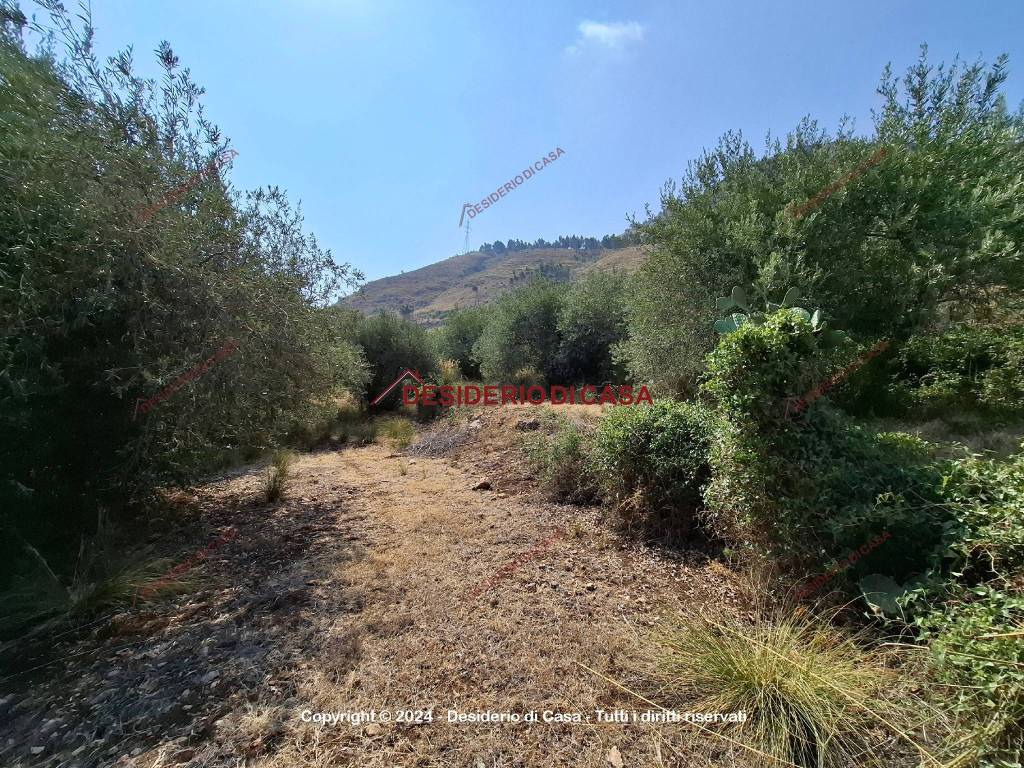Terreno a Altavilla milicia - Foto 2
