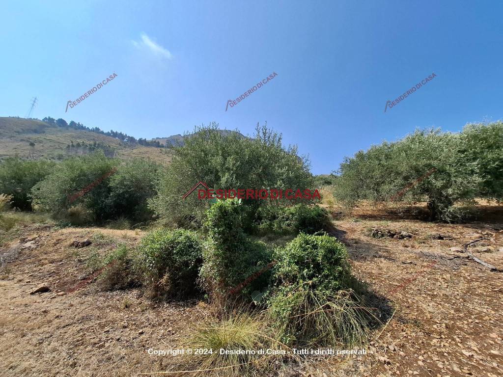 Terreno a Altavilla milicia - Foto 3