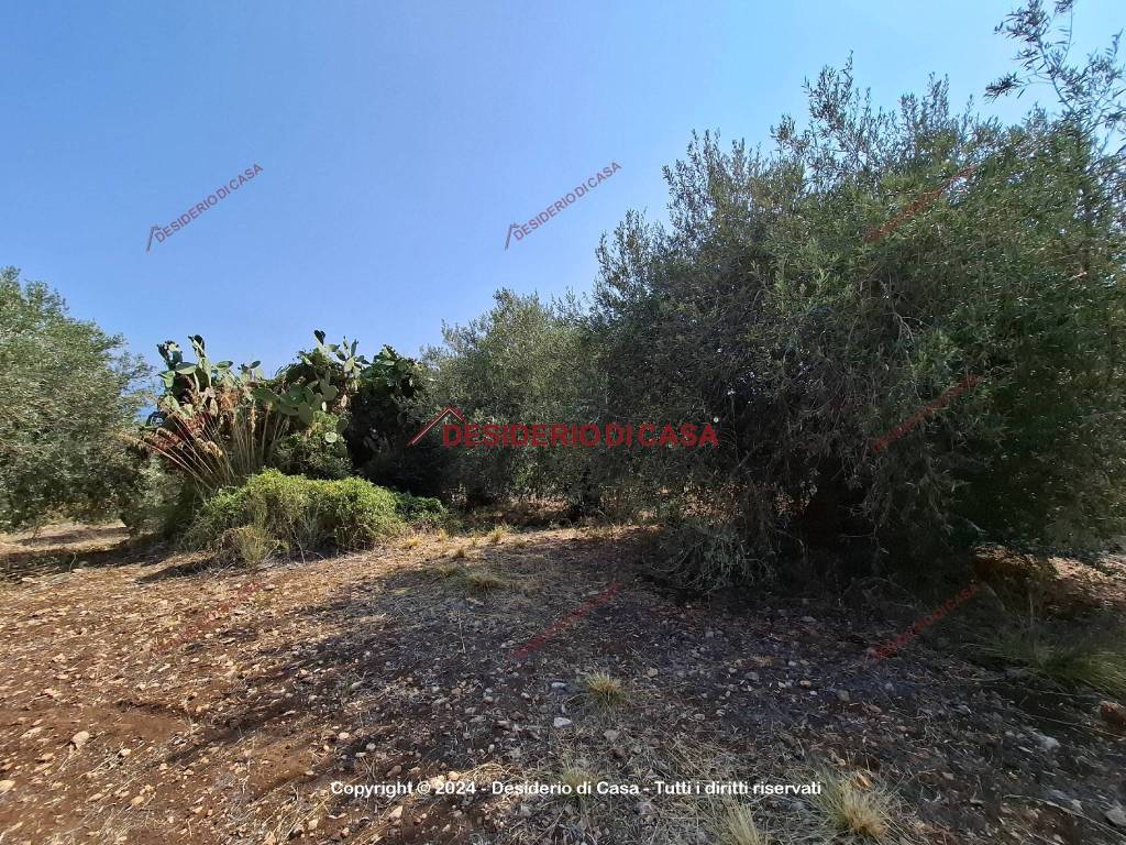 Terreno a Altavilla milicia - Foto 4