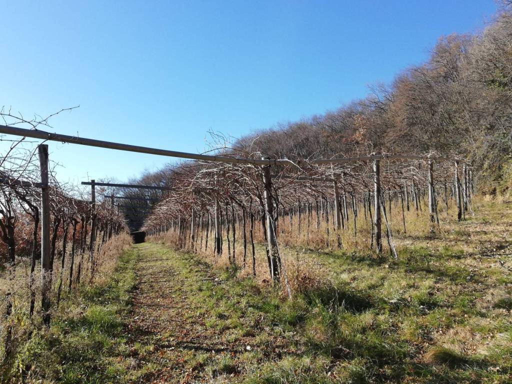 Terreno a Verona - Foto 3