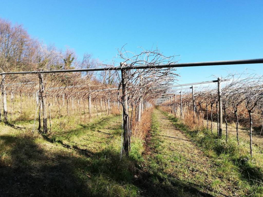 Terreno a Verona - Foto 4