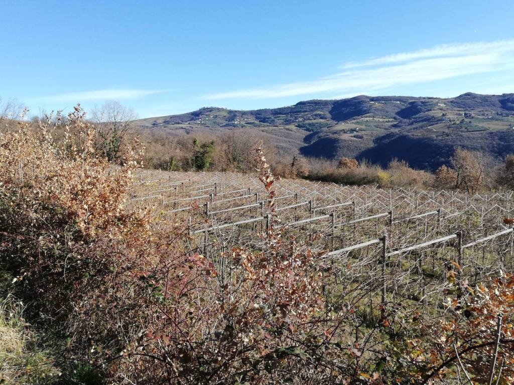 Terreno a Verona - Foto 5