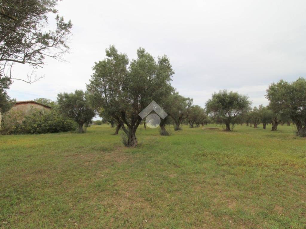 Casa indipendente a Isola di capo rizzuto in Località Bonnace - Foto 2