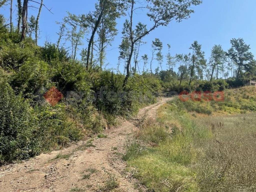 Rustico / casale a Anagni in strada comunale san filippo via cisogna, snc - Foto 4