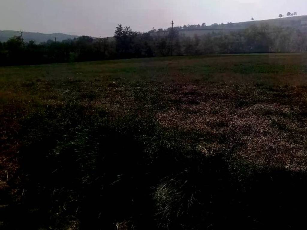 Terreno a Albinea - Foto 2