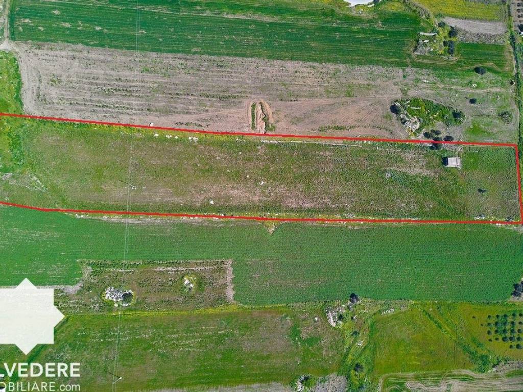 Terreno a Castellammare del golfo in Contrada Ciacca di Badia - Foto 4