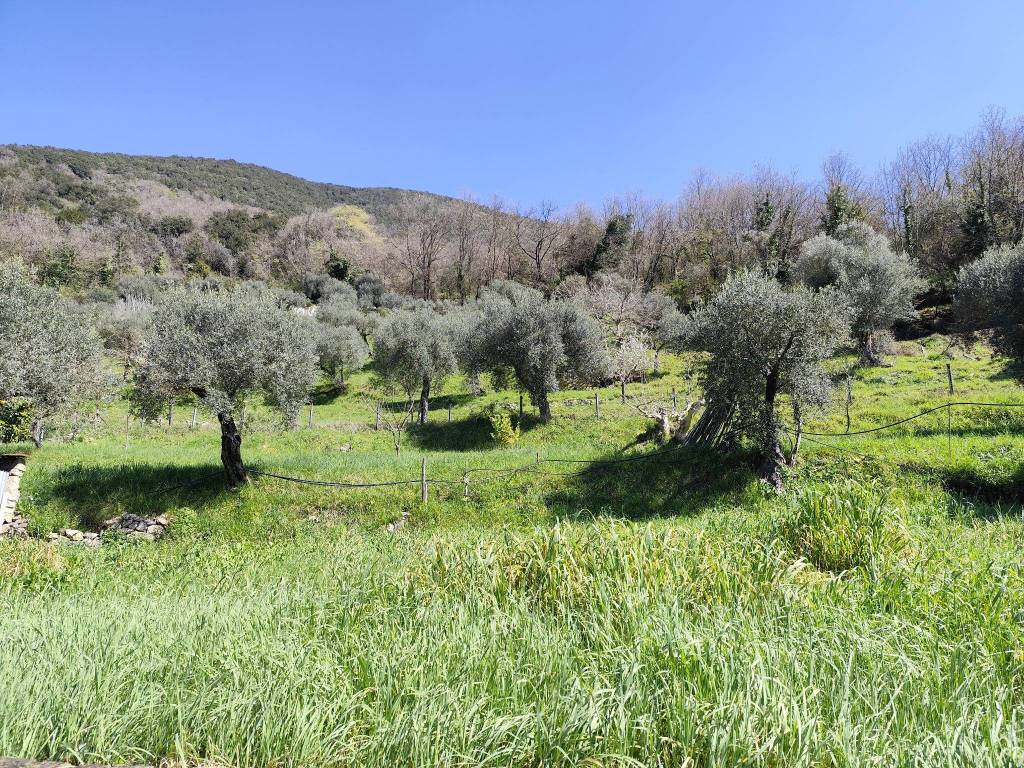 Villa a Giuliano di roma in Strada Provinciale Santa Lucia - Foto 5
