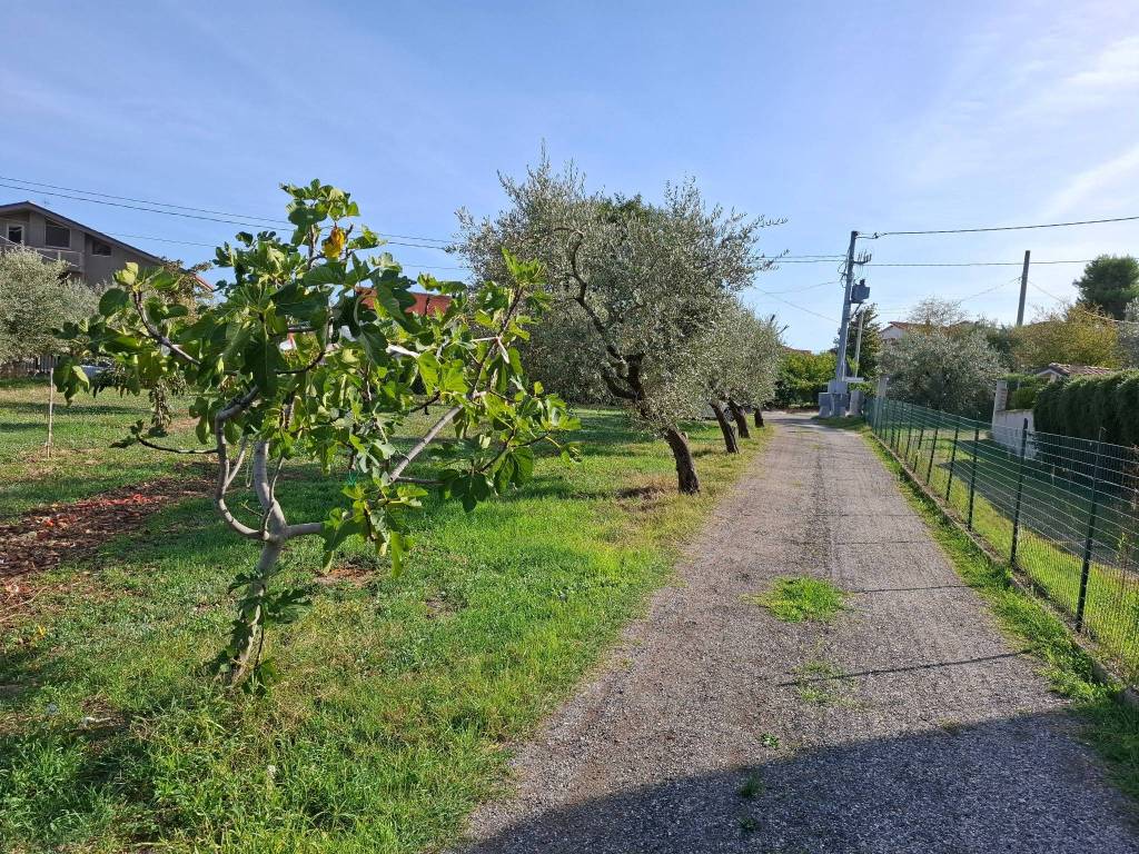 Terreno a Ripa teatina in Via Casale - Foto 2