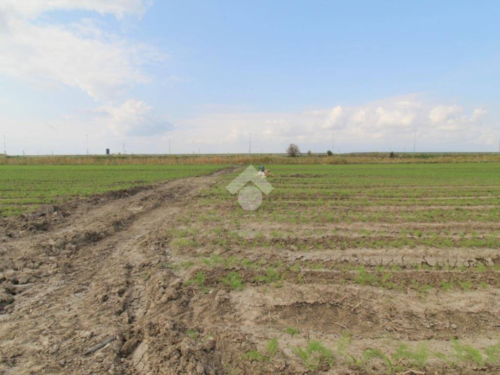 Terreno a Isola di capo rizzuto in Strada provinciale 43 - Foto 2