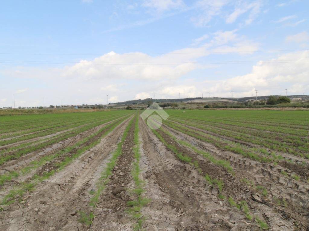 Terreno a Isola di capo rizzuto in Strada provinciale 43 - Foto 3