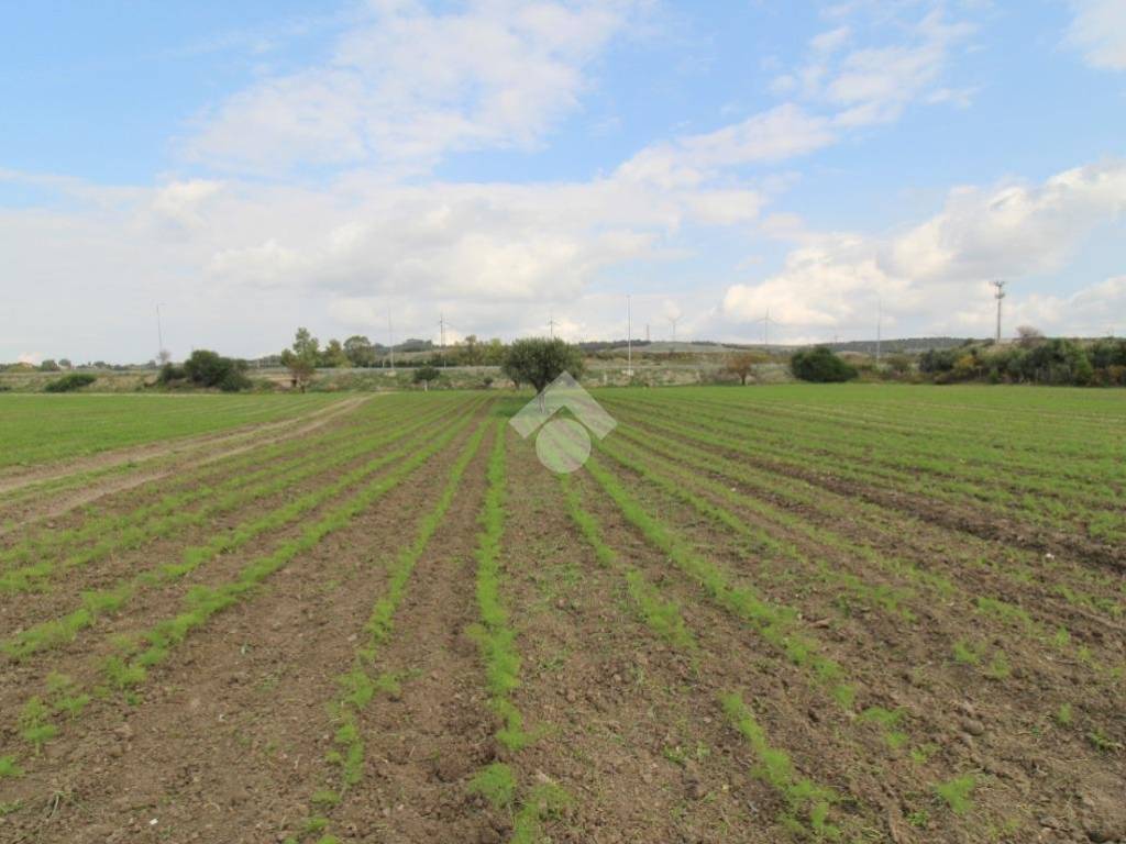 Terreno a Isola di capo rizzuto in Strada provinciale 43 - Foto 4