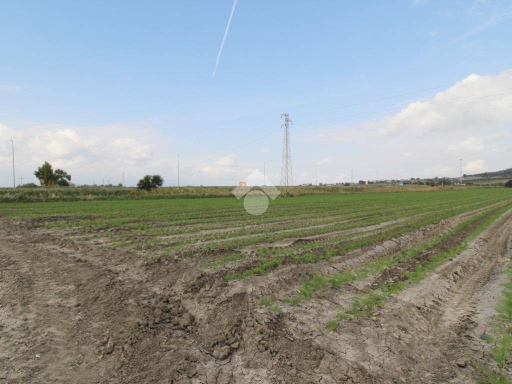 Terreno a Isola di capo rizzuto in Strada provinciale 43 - Foto 5