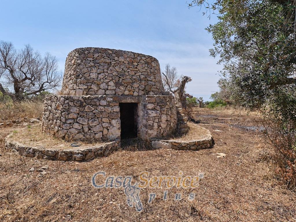 Rustico / casale a Taviano in Via Masseria Li Giannelli - Foto 2