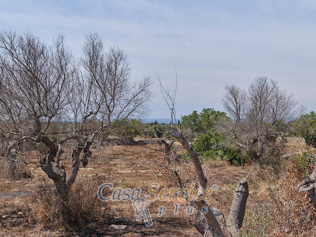 Rustico / casale a Taviano in Via Masseria Li Giannelli - Foto 4