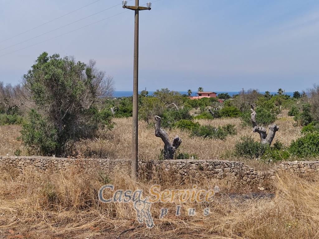 Rustico / casale a Taviano in Via Masseria Li Giannelli - Foto 5