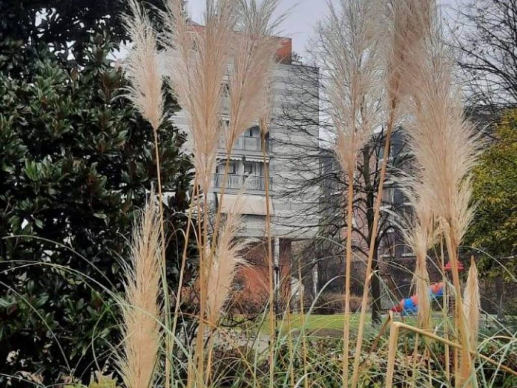 Appartamento a Milano in V. Cividale del Friuli, 15 - Foto 5