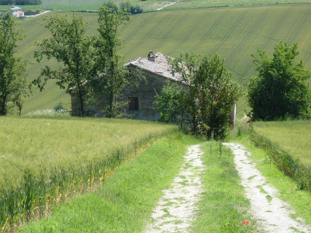 Rustico / casale a Polverigi in Via San Giovanni, 11 - Foto 5