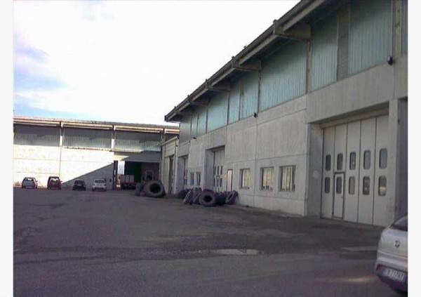 Immobile a Pontecurone in Capannone in vendita via EMILIA SUD 19, Pontecurone - Foto 5
