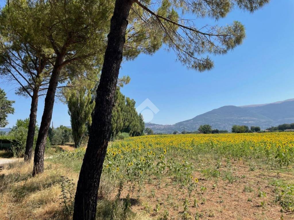 Casa indipendente a Assisi in Via Fonte Citerna, 7 - Foto 3