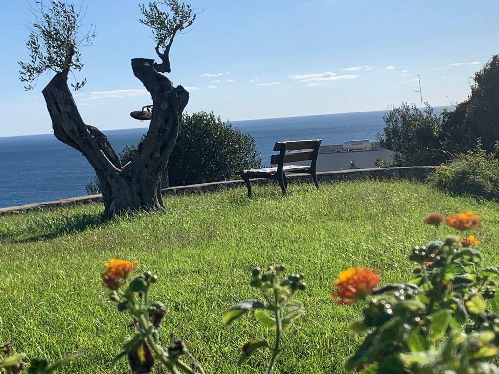 Villa a Morciano di leuca in Contrada Nepole - Foto 2