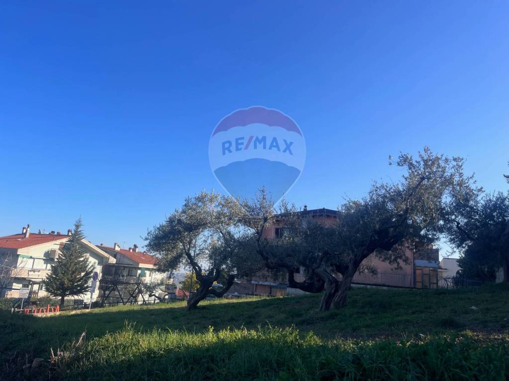 Terreno a Città sant'angelo in CONTRADA CROCIFISSO - Foto 5