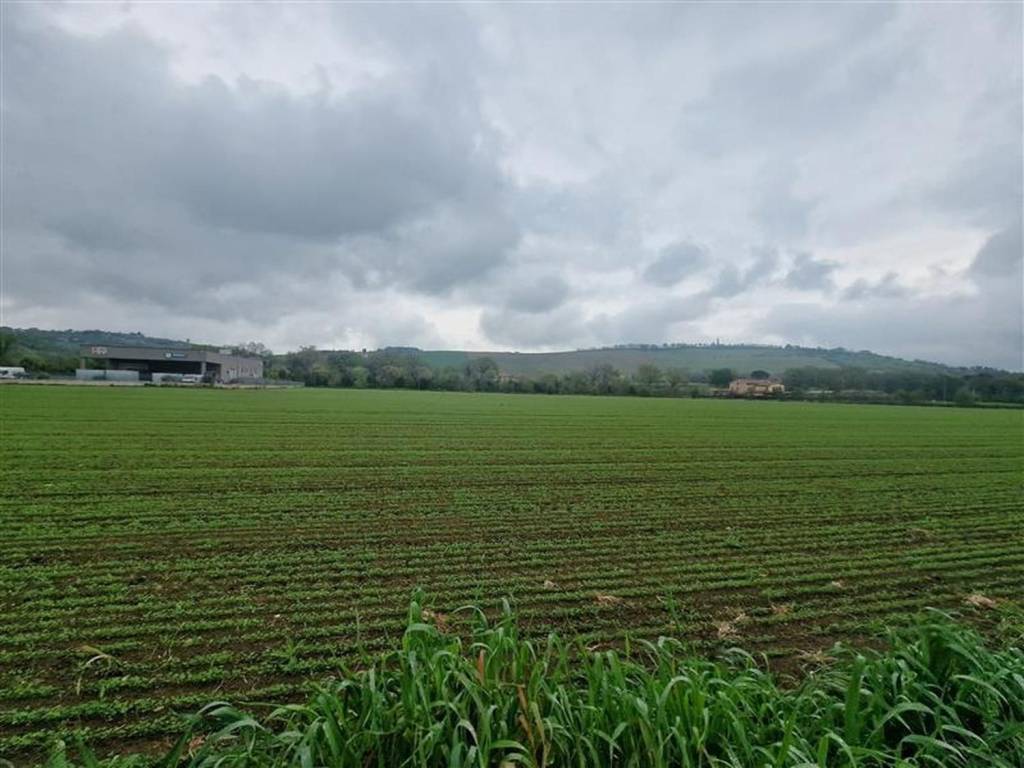 Terreno a Corridonia in zona Piediripa - Foto 4