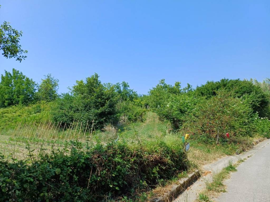 Terreno a Casalbordino in Via dei Miracoli - Foto 5