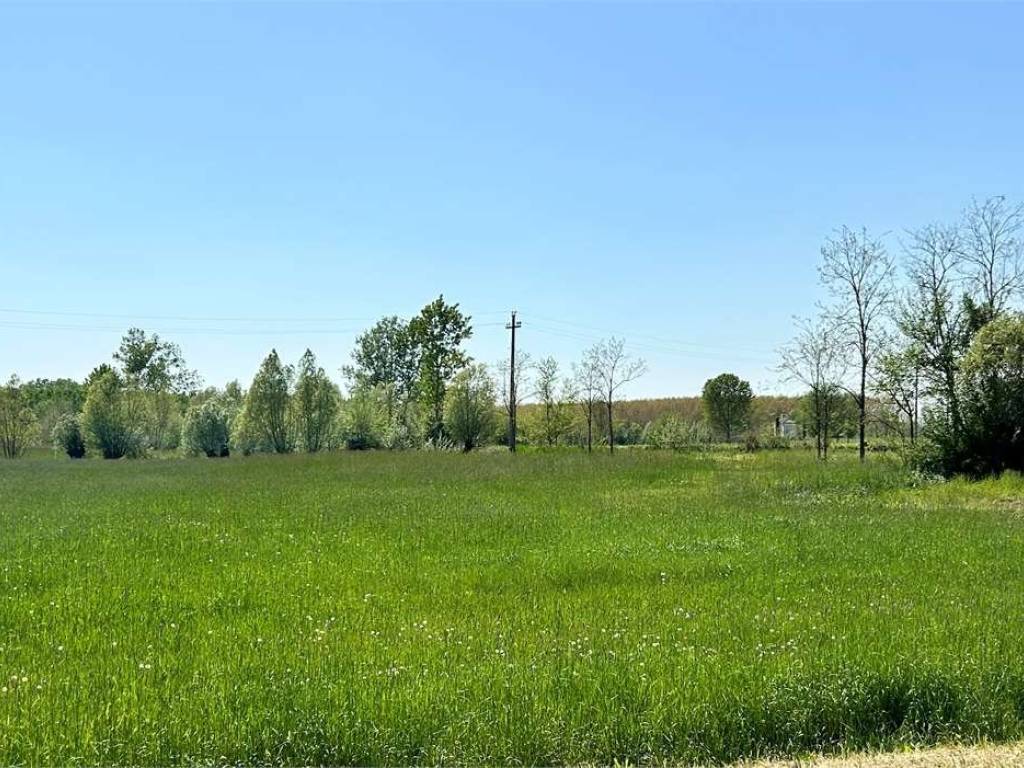 Terreno a Pasiano di pordenone - Foto 3