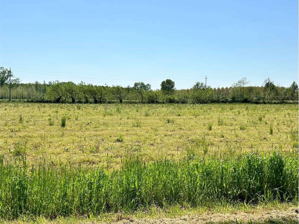 Terreno a Pasiano di pordenone - Foto 4