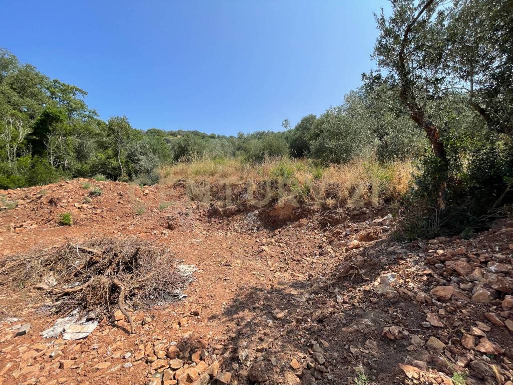 Rustico / casale a Monte argentario in località cannatelli - Foto 2
