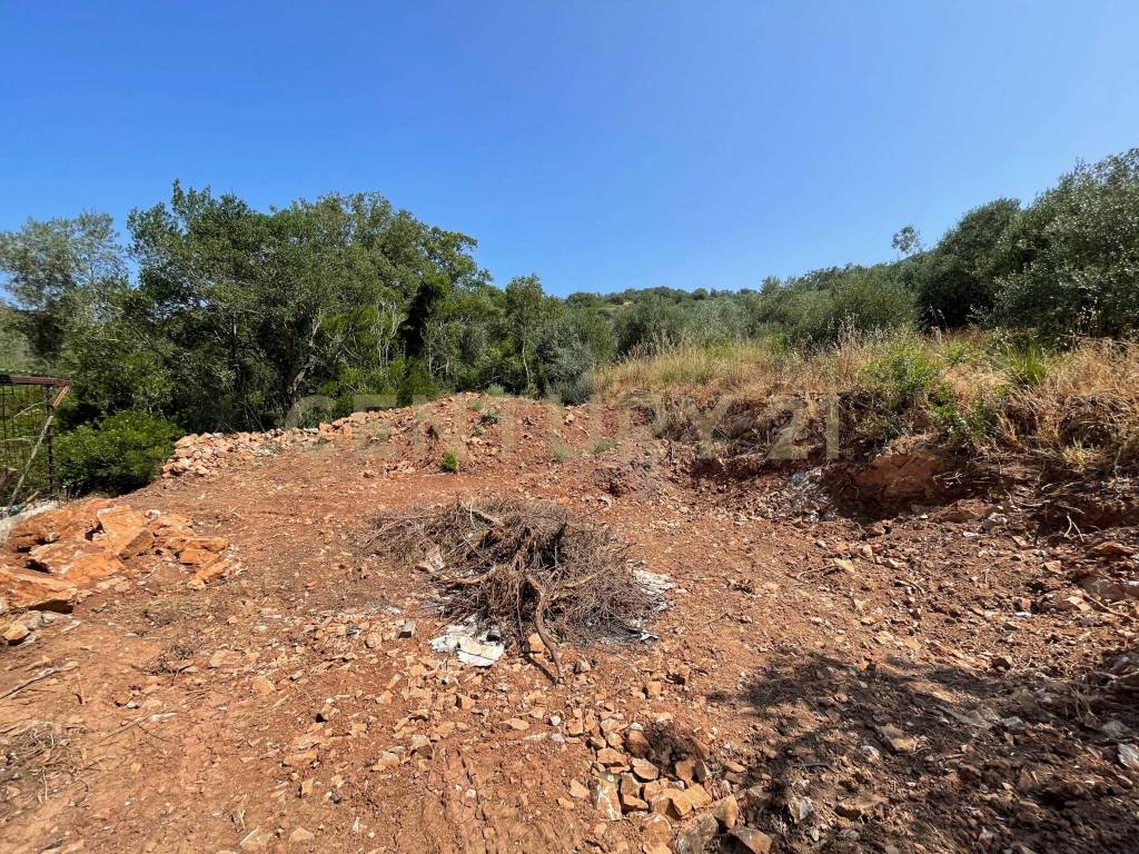 Rustico / casale a Monte argentario in località cannatelli - Foto 3