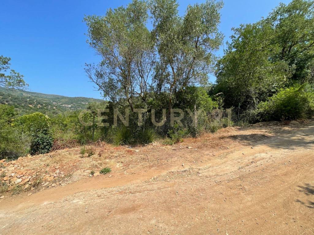 Rustico / casale a Monte argentario in località cannatelli - Foto 4