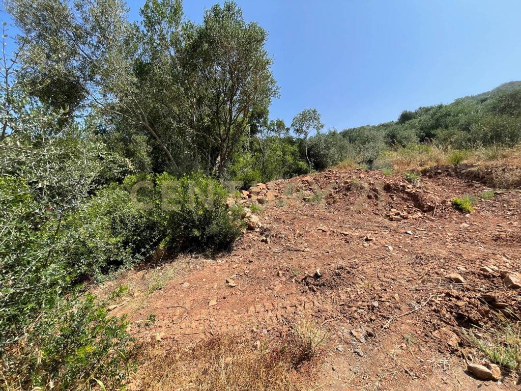 Rustico / casale a Monte argentario in località cannatelli - Foto 5