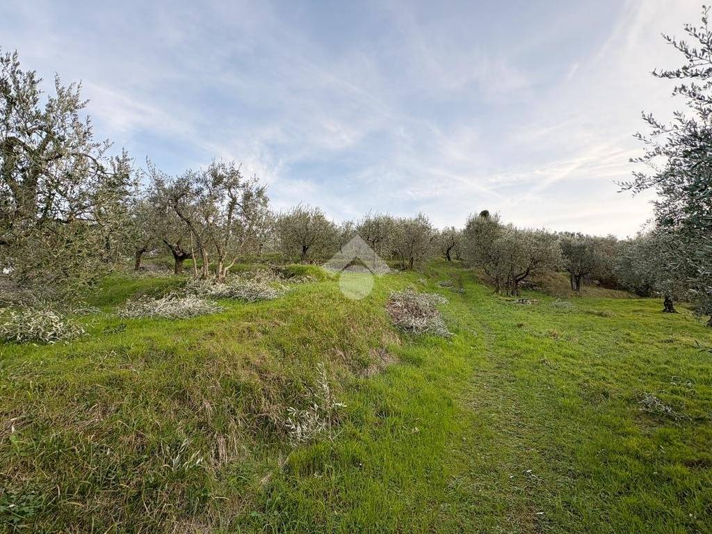 Terreno a Quarrata in Via Baronciatica, 39 - Foto 2