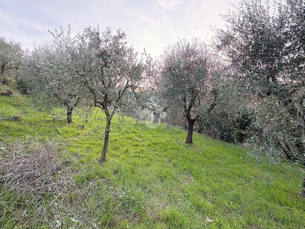 Terreno a Quarrata in Via Baronciatica, 39 - Foto 3