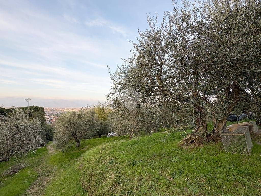 Terreno a Quarrata in Via Baronciatica, 39 - Foto 4