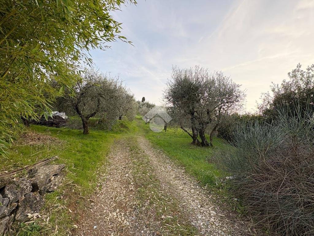 Terreno a Quarrata in Via Baronciatica, 39 - Foto 5