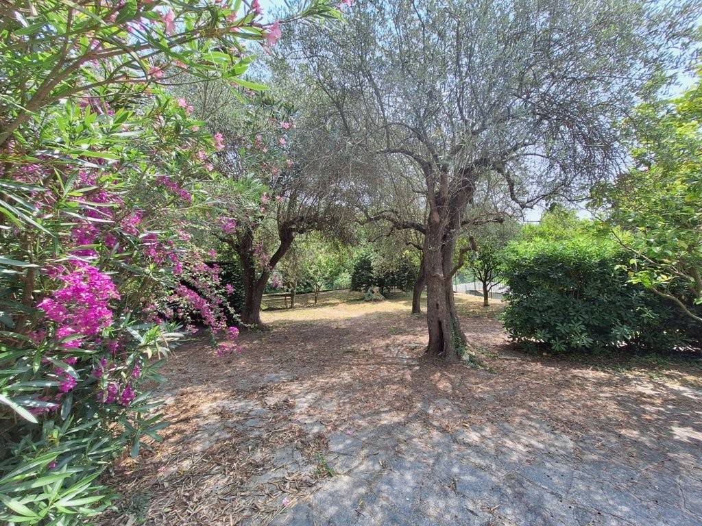 Villa a Andora in Via Divizia - Foto 4