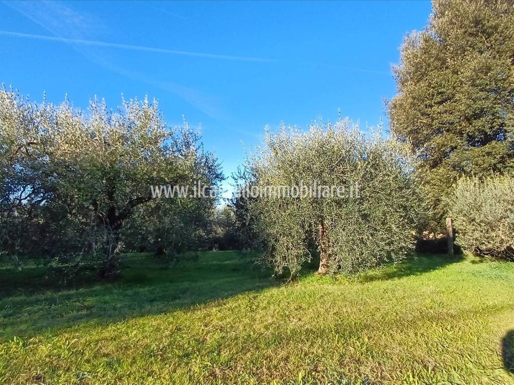 Terreno a Chiusi - Foto 2