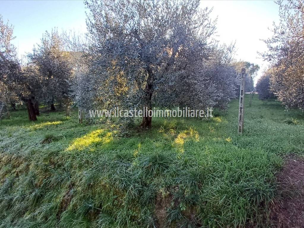 Terreno a Chiusi - Foto 3