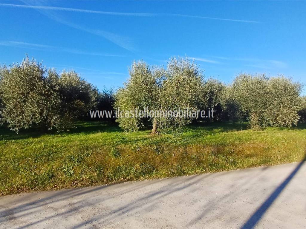 Terreno a Chiusi - Foto 4