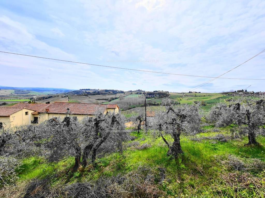 Rustico / casale a San gimignano in Località San Benedetto - Foto 3