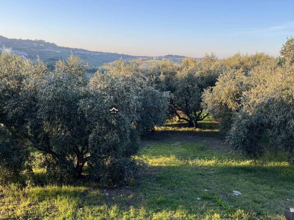 Rustico / casale a Cartoceto in via Sant'Anna 91 , - Foto 4