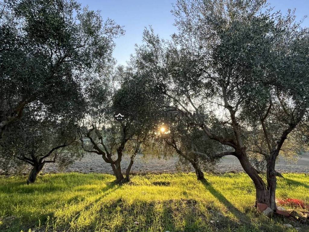 Rustico / casale a Cartoceto in via Sant'Anna 91 , - Foto 5