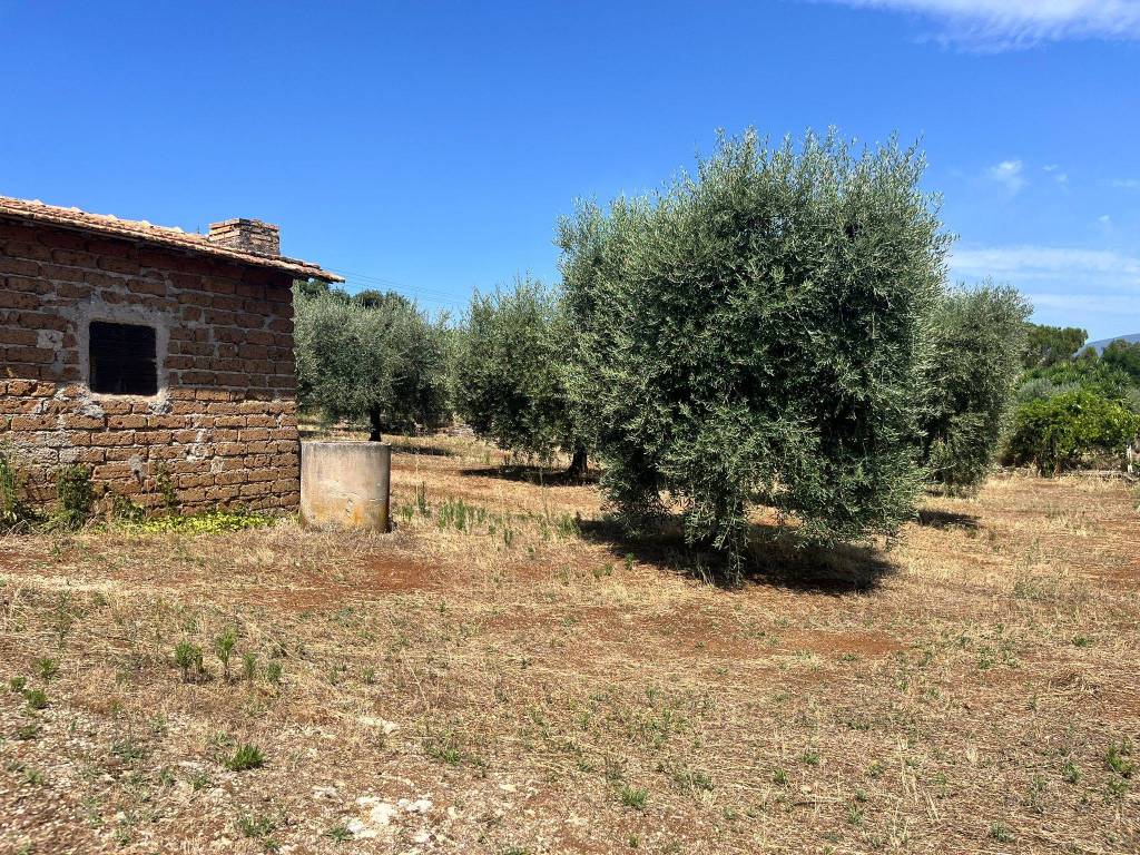 Terreno a Cisterna di latina in Via degli Aranci - Foto 2