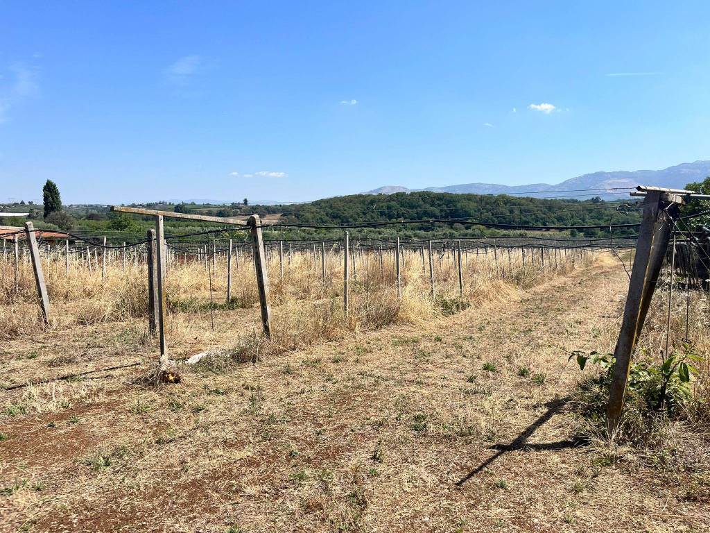 Terreno a Cisterna di latina in Via degli Aranci - Foto 3