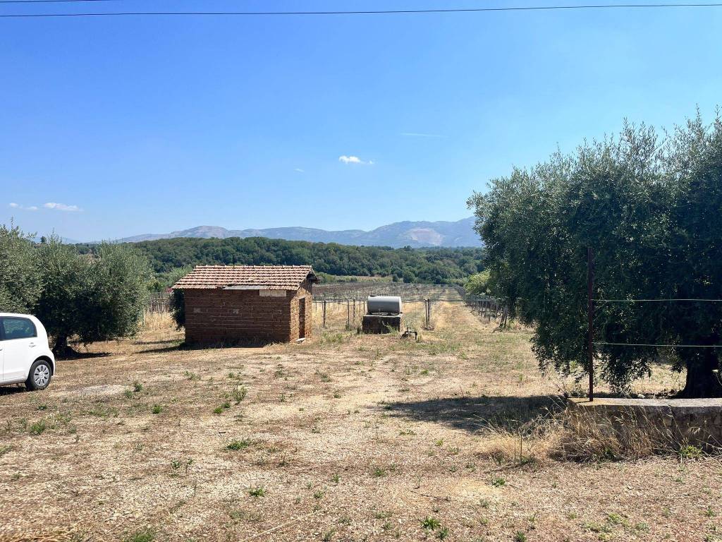 Terreno a Cisterna di latina in Via degli Aranci - Foto 4