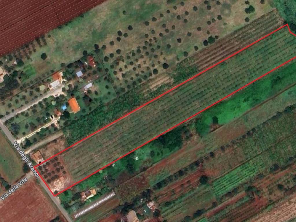 Terreno a Cisterna di latina in Via degli Aranci - Foto 5