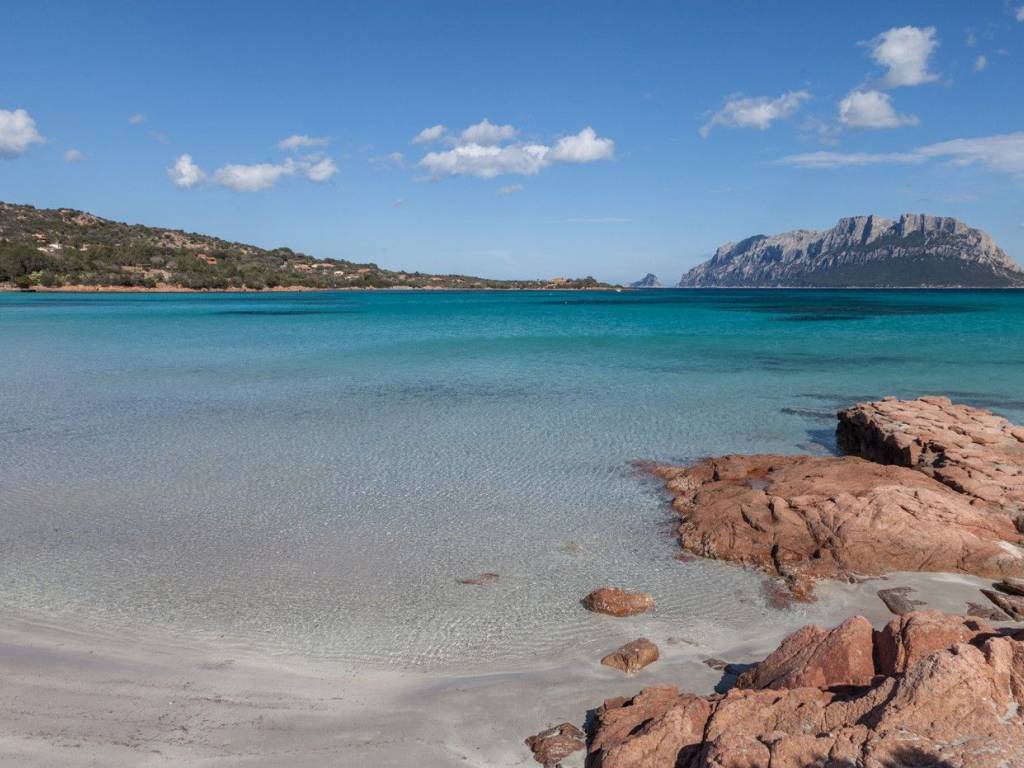 Appartamento a Olbia in Località Murta Maria - Foto 2