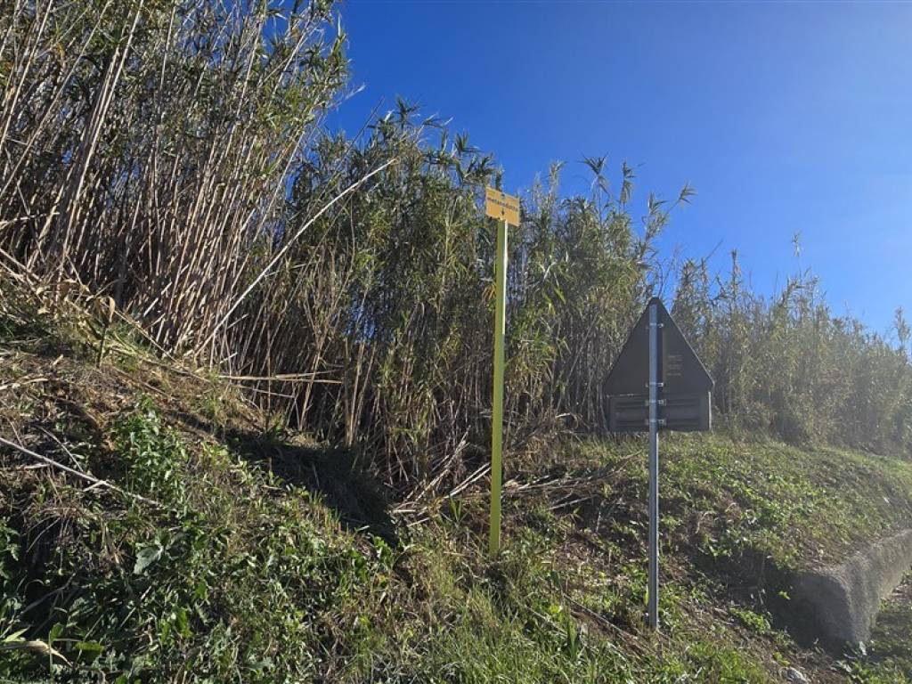 Terreno a Castel frentano in Via Pera - Foto 3